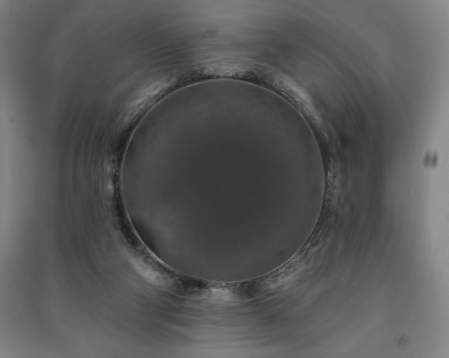 X0000091210114200708161551