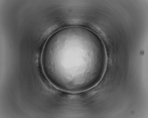 X0000091210115200708161551