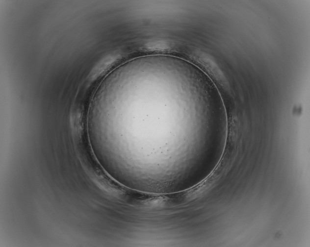X0000091210116200708161551