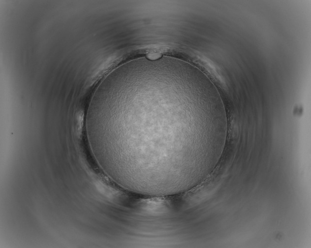 X0000091210118200708161551