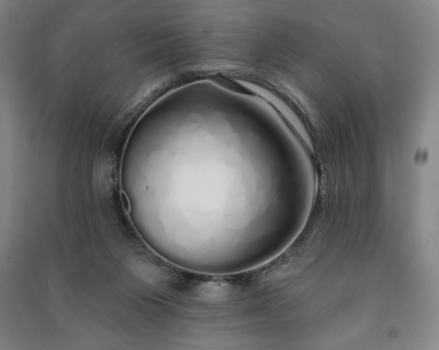 X0000091210119200708161551