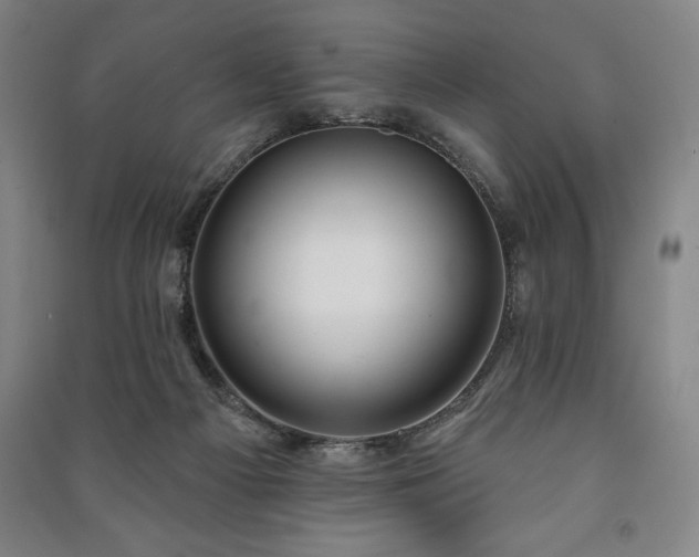 X0000091210121200708161551