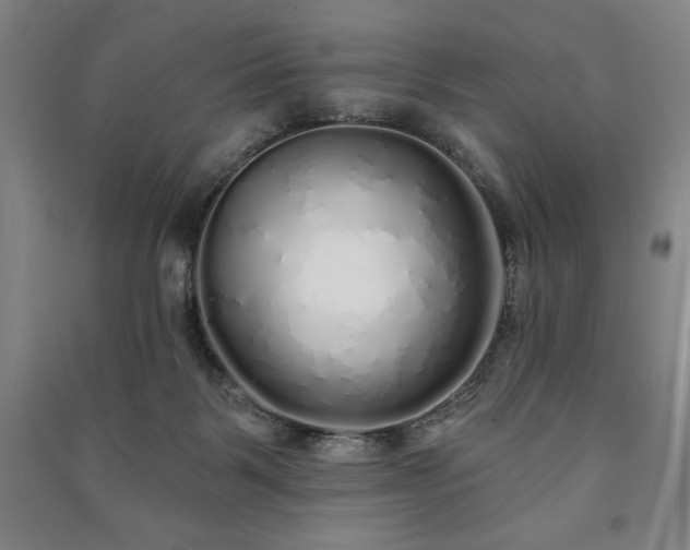 X0000091210123200708161551
