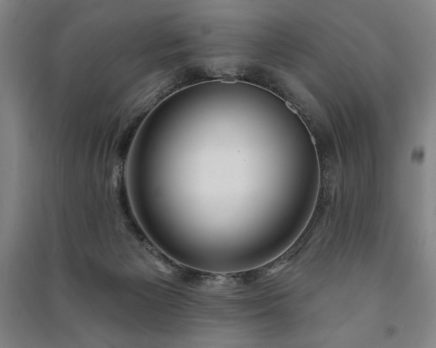 X0000091210125200708161551