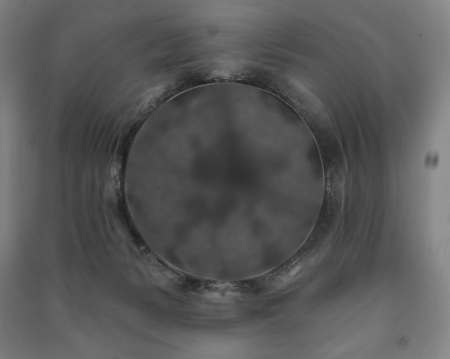 X0000091210127200708161551
