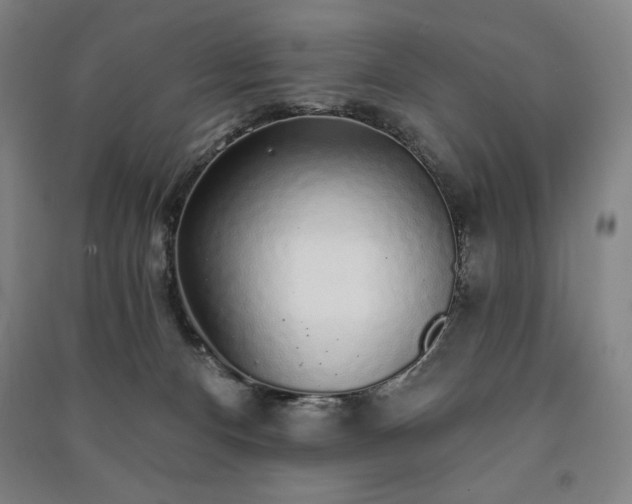 X0000091210128200708161551