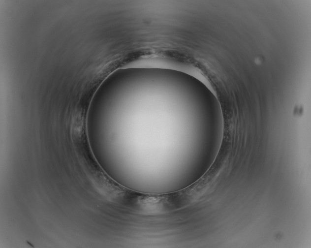 X0000091210129200708161551