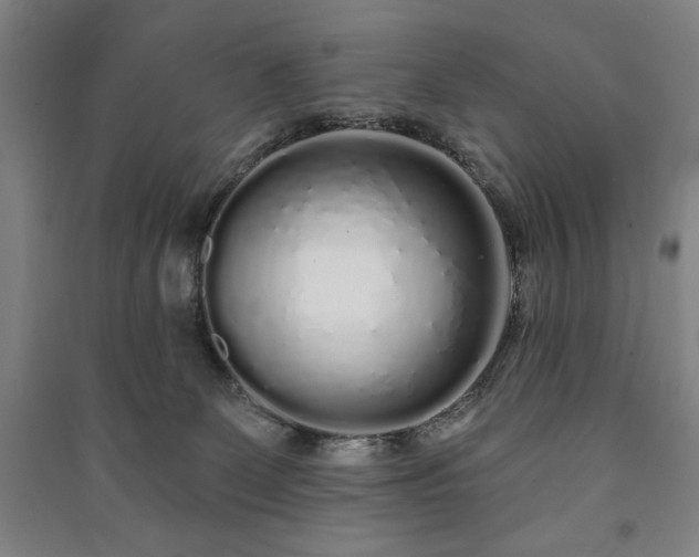 X0000091210131200708161551