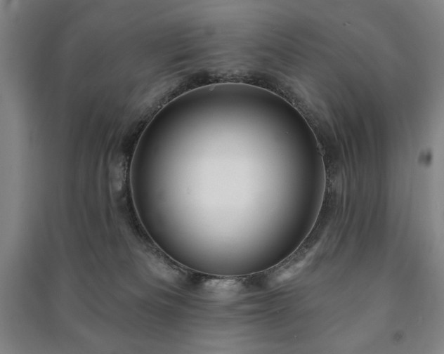 X0000091210133200708161551