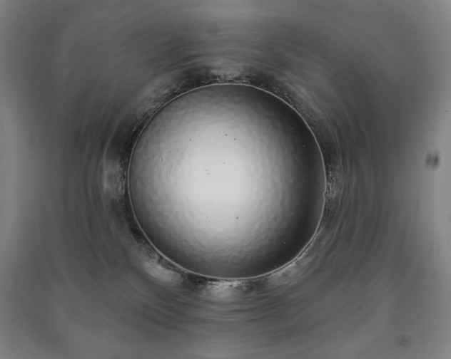 X0000091210136200708161551