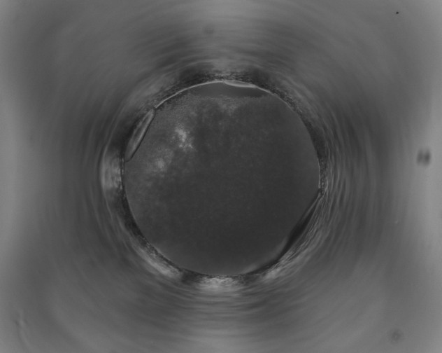 X0000091210137200708161551