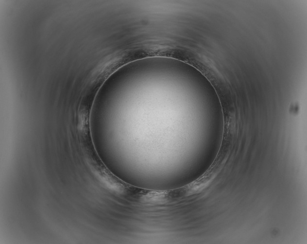 X0000091210138200708161551