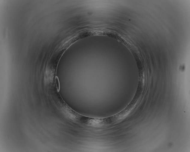 X0000091210139200708161551