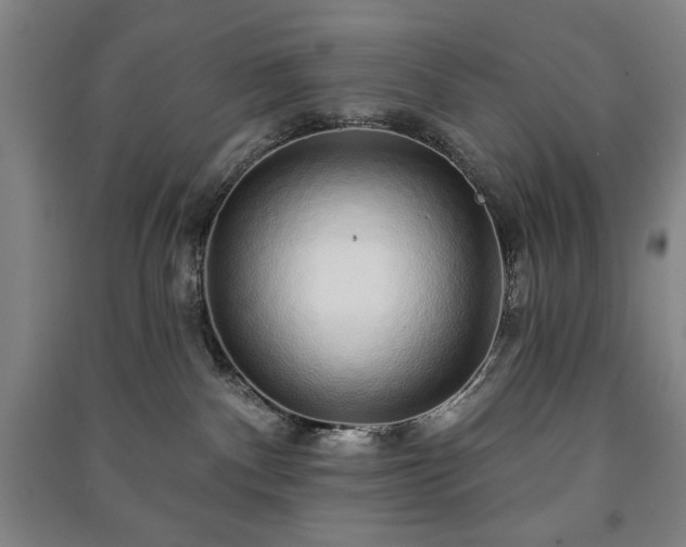 X0000091210140200708161551