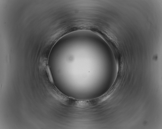 X0000091210141200708161551