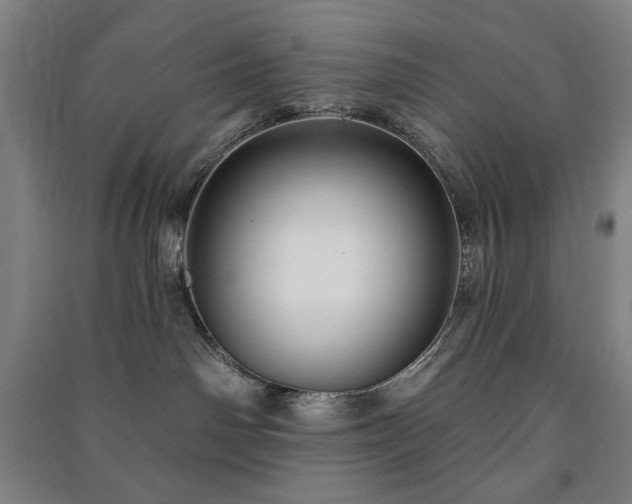 X0000091210142200708161551