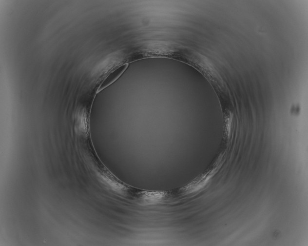 X0000091210143200708161551