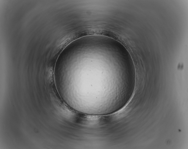 X0000091210144200708161551