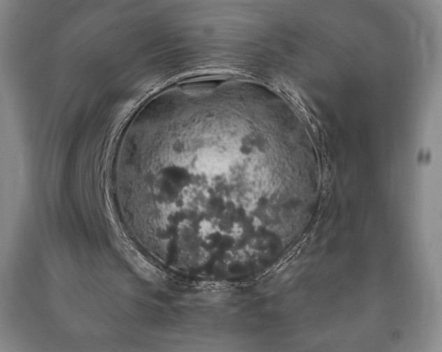 X0000091210145200708161550
