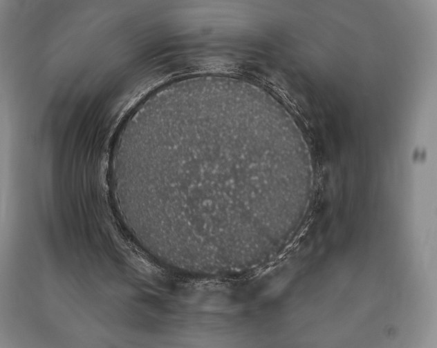 X0000091210146200708161550