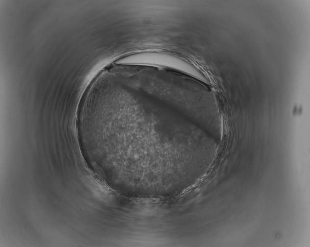 X0000091210147200708161550