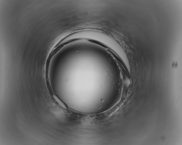 X0000091210148200708161550