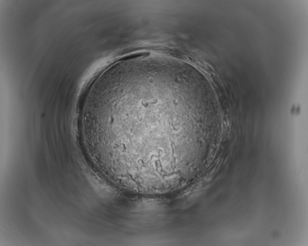 X0000091210149200708161550