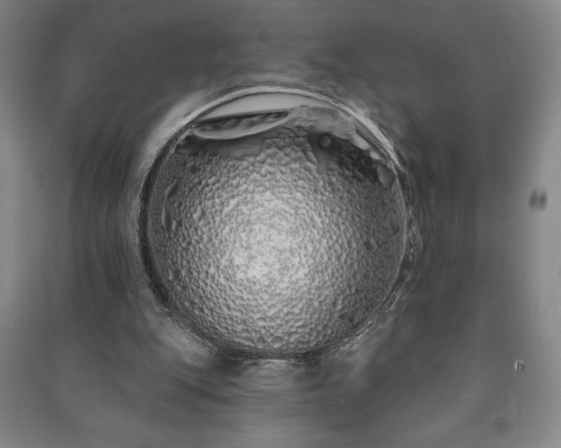 X0000091210151200708161550