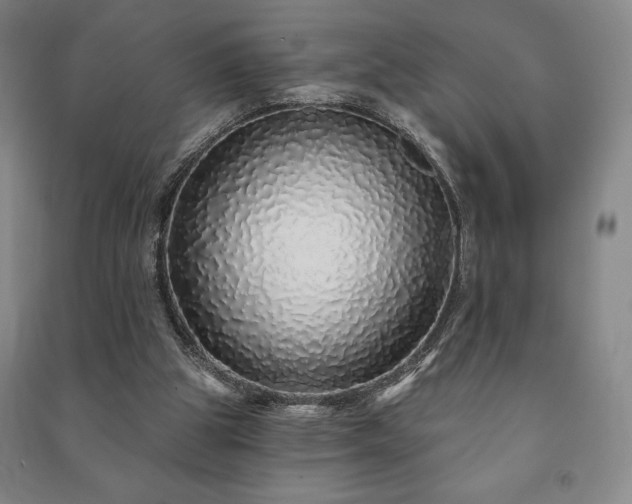 X0000091210153200708161550