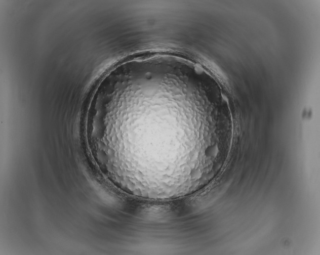 X0000091210155200708161550