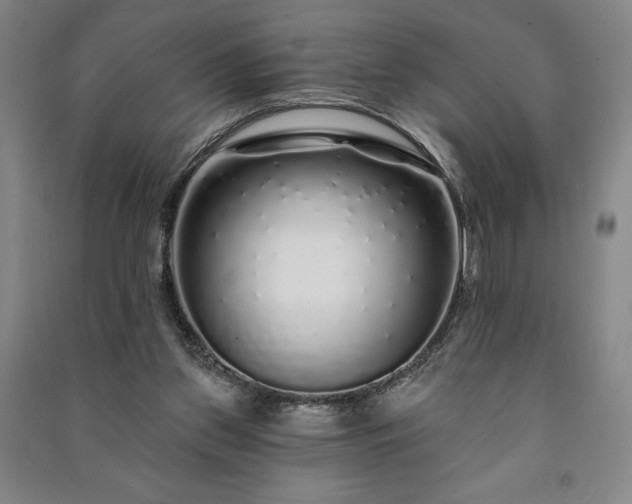 X0000091210157200708161550