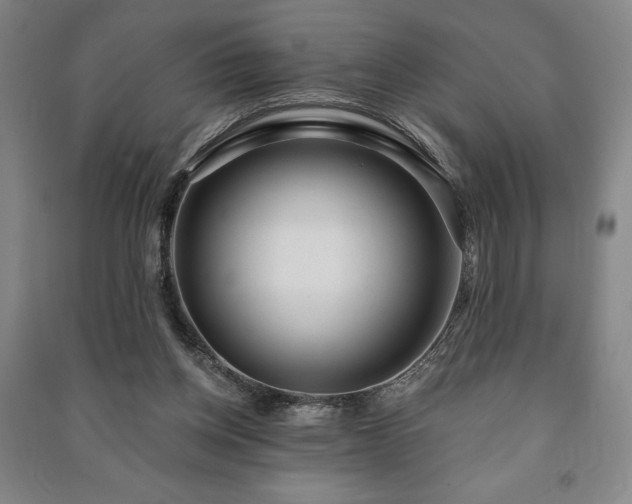 X0000091210158200708161550