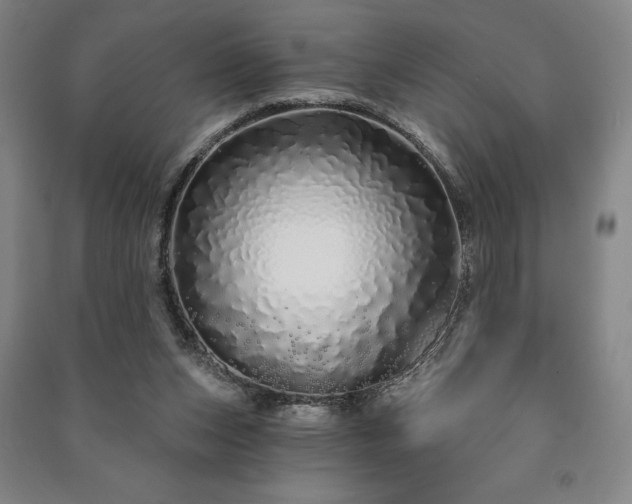 X0000091210159200708161550