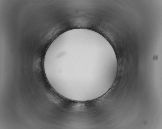 X0000091210162200708161550