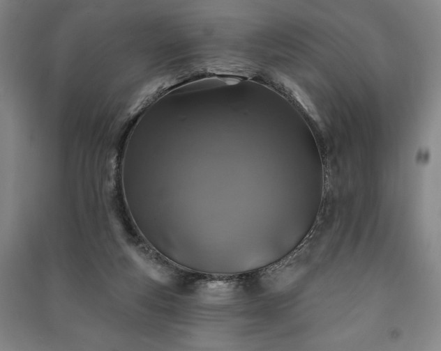X0000091210163200708161550