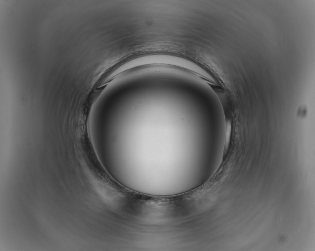 X0000091210164200708161550