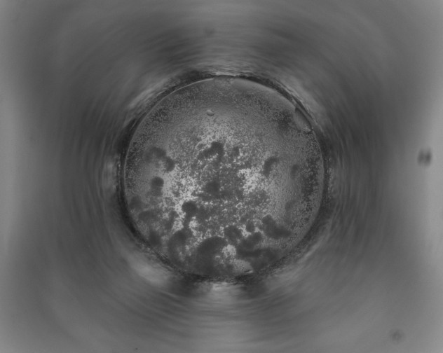 X0000091210165200708161550