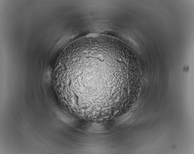 X0000091210166200708161550