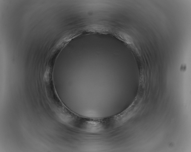 X0000091210167200708161550