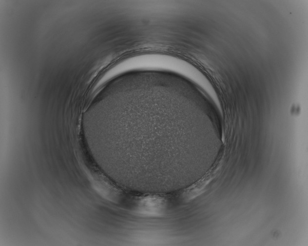 X0000091210168200708161550