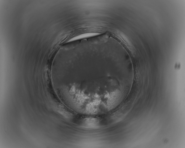 X0000091210169200708161550