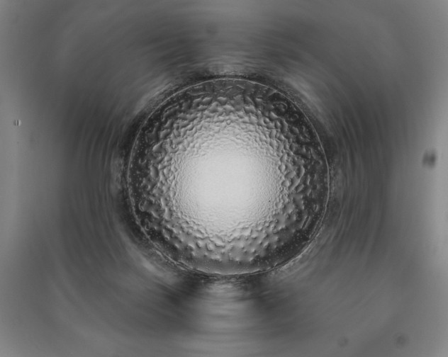 X0000091210171200708161550