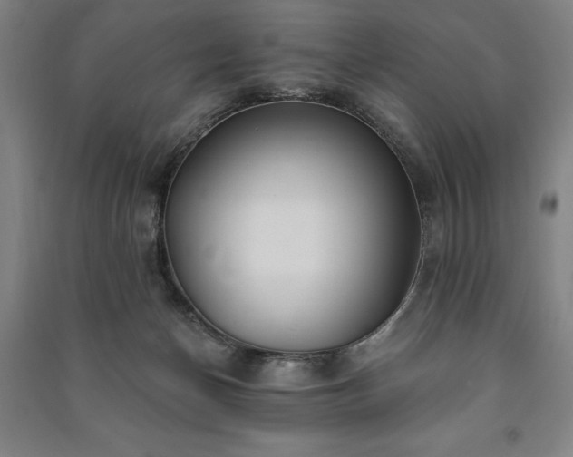 X0000091210174200708161550