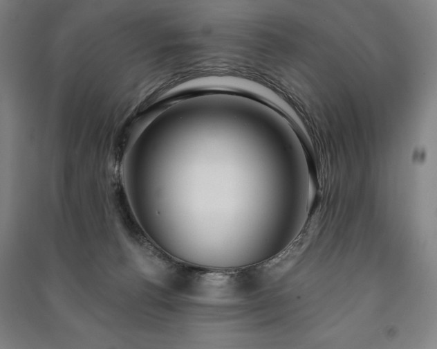 X0000091210176200708161550