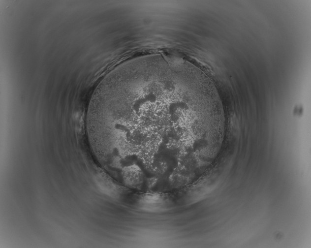 X0000091210177200708161550
