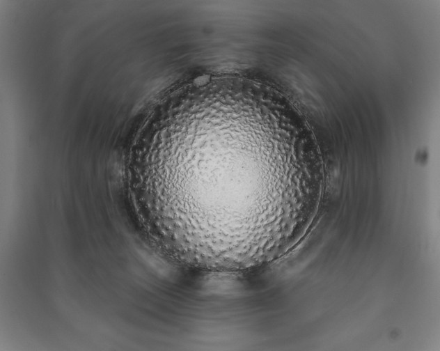 X0000091210179200708161550