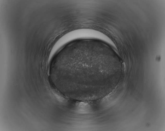 X0000091210180200708161550