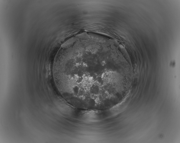 X0000091210182200708161550