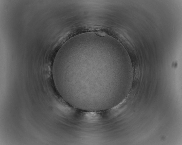 X0000091210183200708161550
