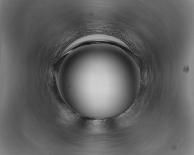 X0000091210184200708161550